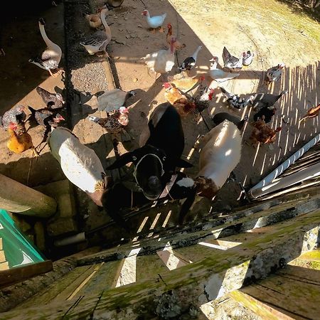 Saira Recanto De Serra Mulungu  Buitenkant foto