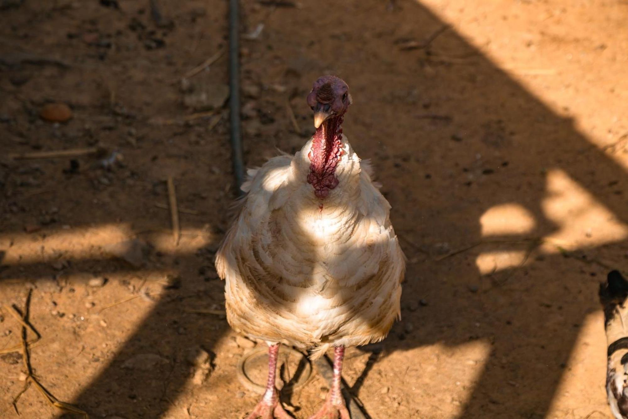 Saira Recanto De Serra Mulungu  Buitenkant foto