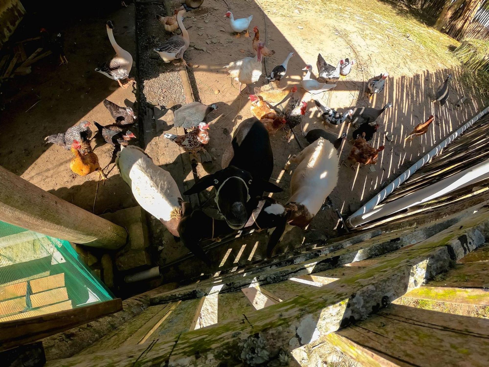 Saira Recanto De Serra Mulungu  Buitenkant foto
