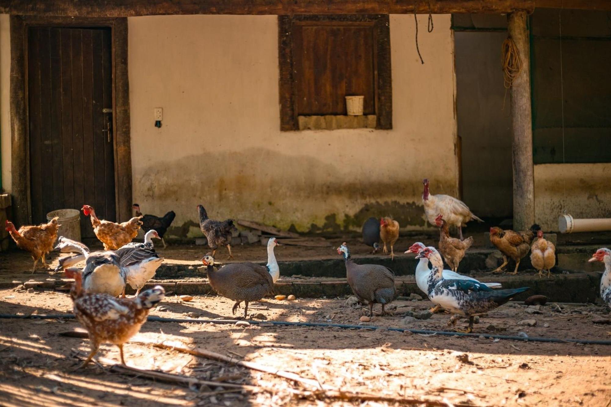 Saira Recanto De Serra Mulungu  Buitenkant foto